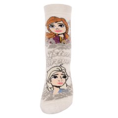 Шкарпетки махрові Frozen Disney 27-30 (4-7 років) FZ19016 Бежевий 2891181871668
