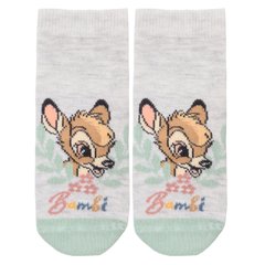 Шкарпетки Бембі Disney 10-12 см (6-12 міс) BA19001-1 Різнобарвний 8691109942746