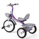 Дитячий велосипед Best Trike Сіро-фіолетовий 6989167360957