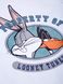 Спортивний костюм Looney Tunes Cimpa 98 см (3 роки) LT18437 Біло-сірий 8691109927927